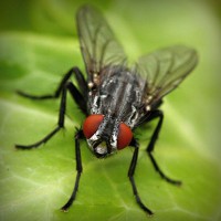 /album/tiogratorec/photolia-a01-jpg/