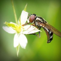 /album/tiogratorec/photolia-a02-jpg/