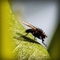 /album/tiogratorec/photolia-a04-jpg/