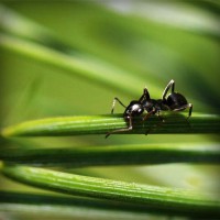 /album/tiogratorec/photolia-a05-jpg/