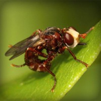 /album/tiogratorec/photolia-a06-jpg/