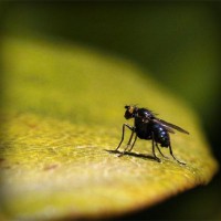 /album/tiogratorec/photolia-a07-jpg/