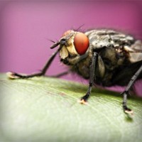 /album/tiogratorec/photolia-a08-jpg/